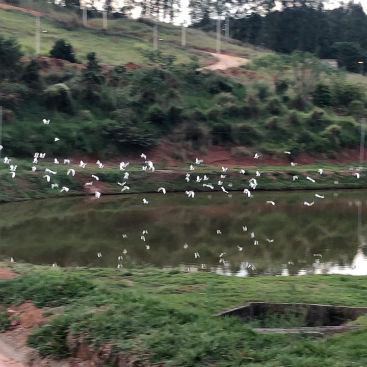 Encantos da Lagoa
